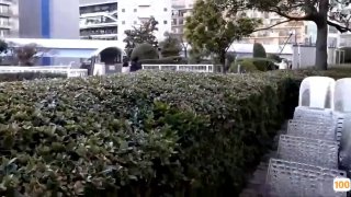 jk自慰到不停喷水🔞⭕❌⭕❌冰糖炖雪梨电视剧免费观看